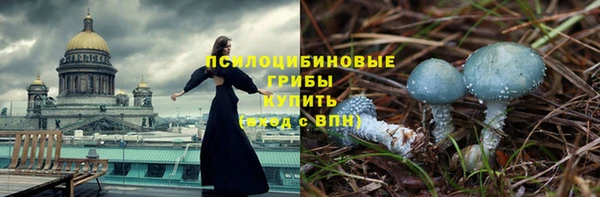 меф Горняк