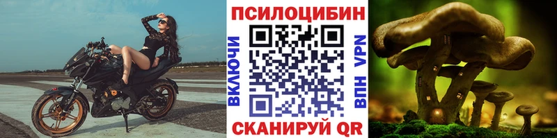 Галлюциногенные грибы Psilocybine cubensis  Дубовка 